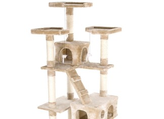 arbre a chat lequel choisir